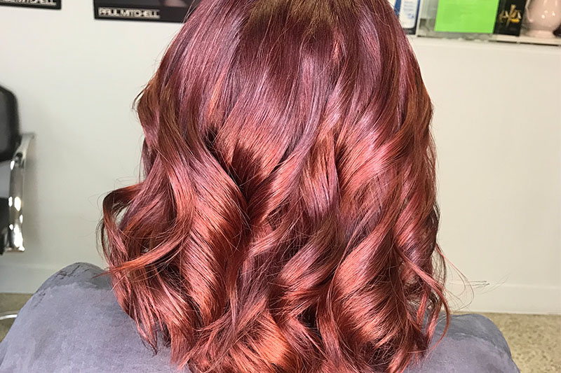 THE ARTISTRY OF HAIR